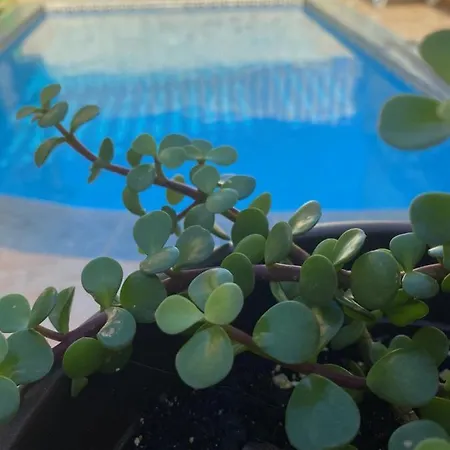 Tan-nahla Farmhouse بيت للعطل *